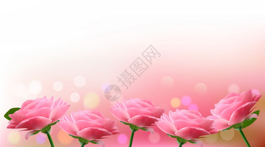 粉色花背景矢量插图图片