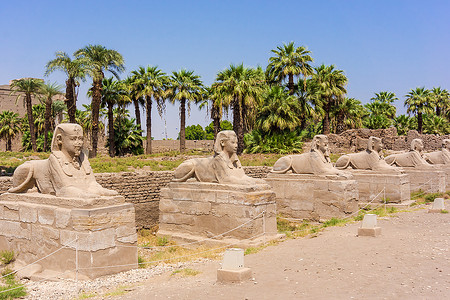 埃及狮形图片