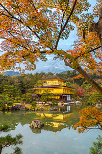 京都金殿寺图片