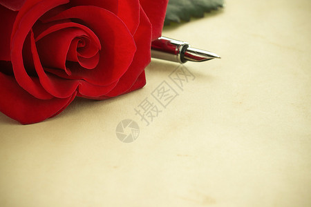 红玫瑰印在纸背景上图片