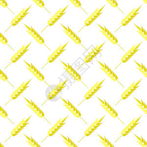无缝小麦模式白色背景上孤立的一组耳图片
