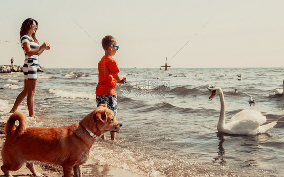 小孩和妈在沙滩上玩天鹅得开心小男孩子和妈在海边天鹅玩得开心暑假放松图片