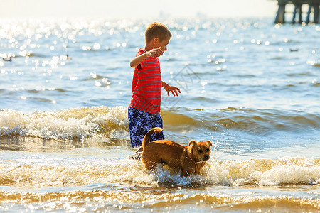 男孩玩他的狗动物和孩子之间的联系概念运动型混合种族狗和男孩一起玩与小狗一起玩图片