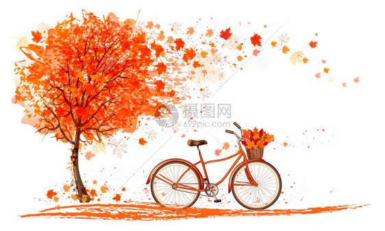 秋天背景树和自行车图片