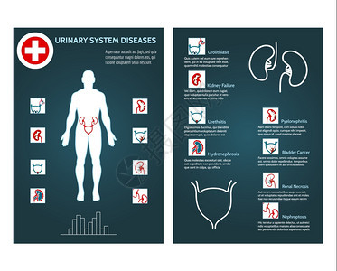 健康宣传手册模板图片