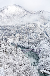 冬季风雪覆盖了桥梁和树木图片