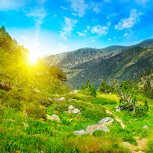 春天山坡高山上美丽的日出背景