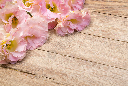 粉红色花从老木质背景的花朵框中取出选择焦点文本的位置背景