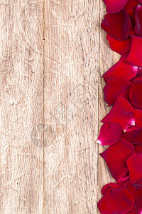 红玫瑰花是木制背景的图片