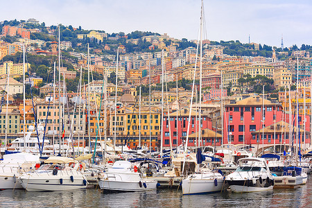 意大利热那亚的MarinaPortoAnticoGenova停靠了许多帆船和游艇图片