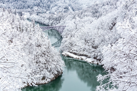 冬季风雪覆盖了河流和桥梁的树木图片