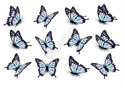 蓝色蝴蝶矢量元素背景图片