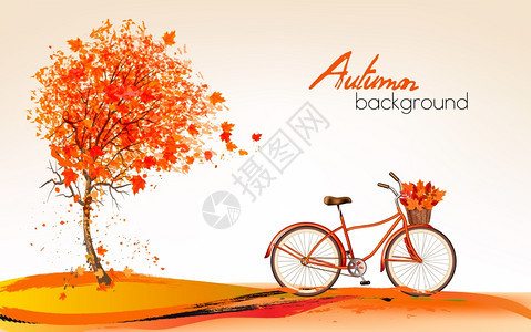 秋天树和自行车矢量插画图片