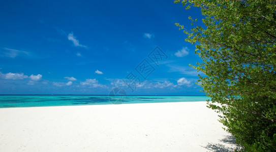 马尔代夫热带海滩图片