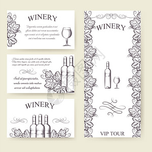 粉蒸菜Winerybouqlet和卡片模板集矢量插图插画