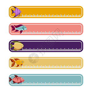 带鱼的多彩横幅带鱼矢量的宽度多彩横幅图片