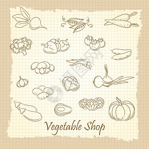 手画蔬菜用在旧笔记本页上画蔬菜商店矢量图片