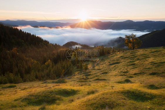 夏季晨山区农村地貌图片