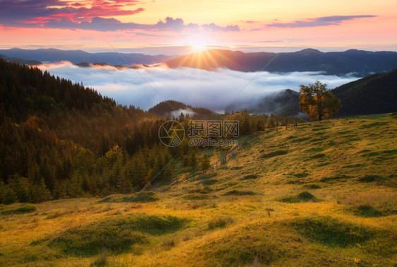 夏季晨山区农村地貌图片