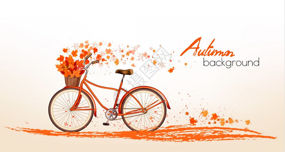 秋天多彩的枫叶和自行车背景图片