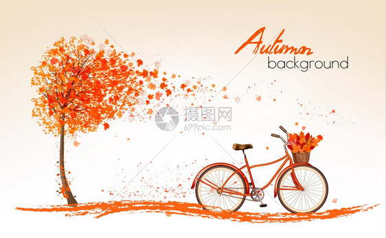 秋天丰富多彩的叶子和自行车背景图片