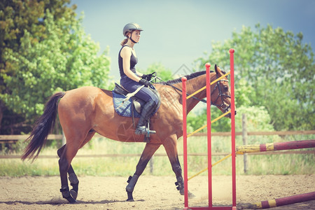 女骑师马培训体育活动跃的女骑师马培训术比赛和活动图片