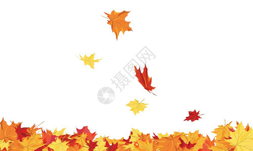 带有叶的秋季复制空间框架图片