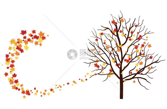 带有叶的秋季复制空间框架图片