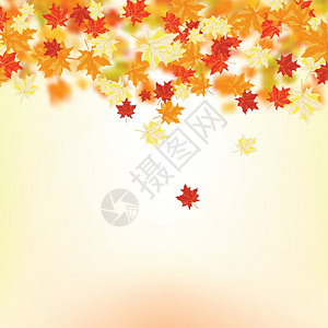 秋色的叶背景带网格的矢量插图EPS10背景图片