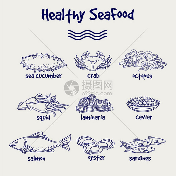 以球笔风格设置的健康海产食品手画的健康海产食品组合以球笔绘画风格制矢量插图图片