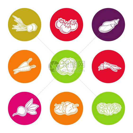 线条蔬菜图标设置线条蔬菜图标设置在彩色圆形矢量图解中图片