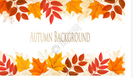 含有彩色叶子的秋季背景矢量图片