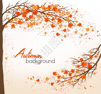 秋天背景树和多彩的叶子矢量背景