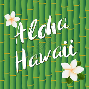 矢量竹子Aloha夏威夷Aloha夏威夷粉刷文字在竹根底部和花朵上的粉刷文字设计Aloha夏威夷粉刷文字在竹根底部和花朵上的矢量设计热带背景