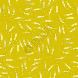 黄小麦无缝模式有机天然谷物刺图片