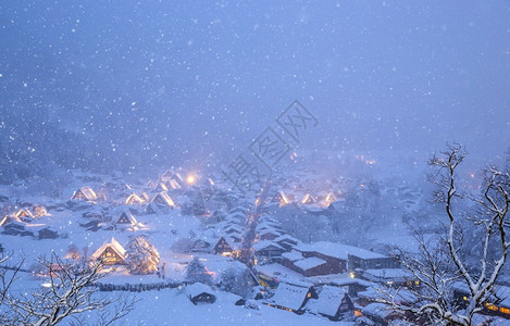 白川戈与日积雪下的本朱布吉福一道闪耀着大雪的光芒图片