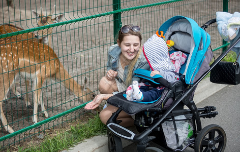 美丽的宝妈推着婴儿车带宝宝在动物园图片