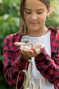 美丽的年轻女孩肖像抓住金麦子耳朵图片