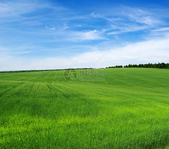 绿地和蓝色天空xA图片