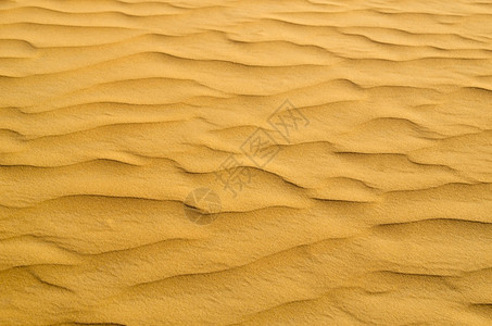 金沙漠的质xAxA图片