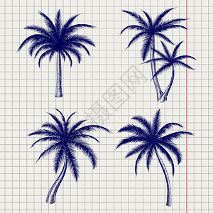 球笔风格的棕榈草图笔记本页的球样板棕榈草图矢量插图片