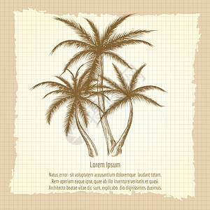 带有棕榈树的旧海报笔记本页上印有棕榈树的旧海报矢量插图图片