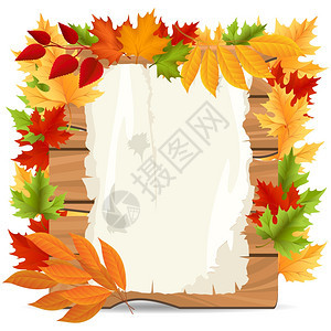 秋叶和纸木横幅图片