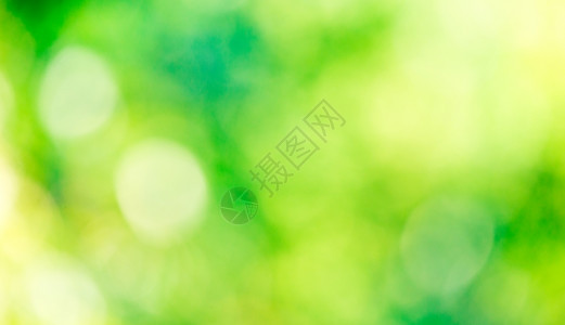 绿色bokeh抽象光背景图片