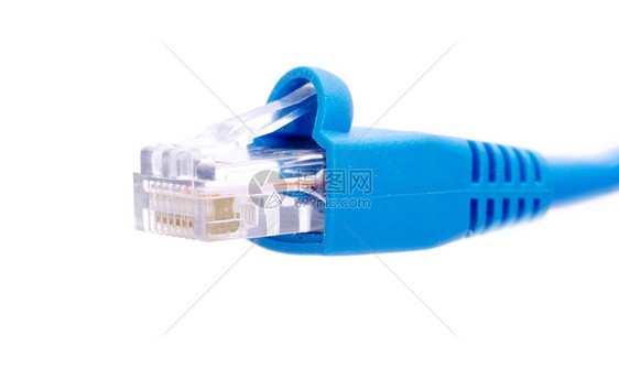 白色背景的兰电缆和连接器图片