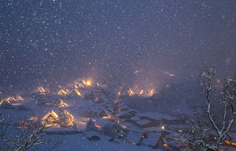 白川戈与日积雪下的本朱布吉福一道闪耀着大雪的光芒图片