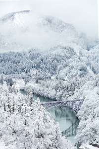 冬季风雪覆盖了河流和桥梁的树木图片