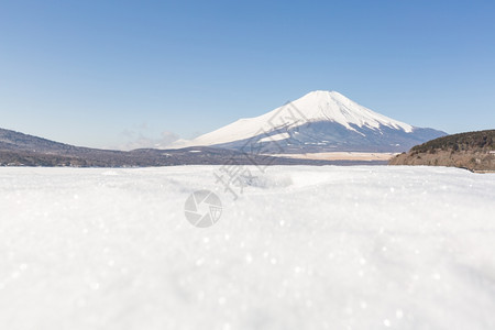 日本冬季寒雪期间在日本亚马纳卡湖IcedYamanakaIced的冬藤山图片