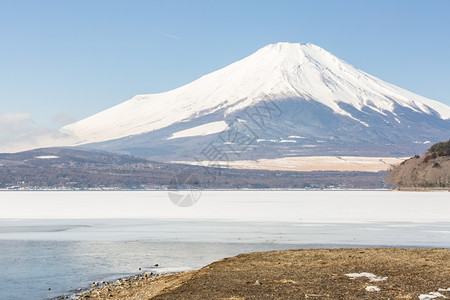 日本冬季寒雪期间在日本亚马纳卡湖IcedYamanakaIced的冬藤山图片