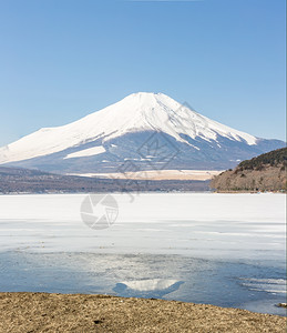 日本冬季寒雪期间在日本亚马纳卡湖IcedYamanakaIced的冬藤山图片